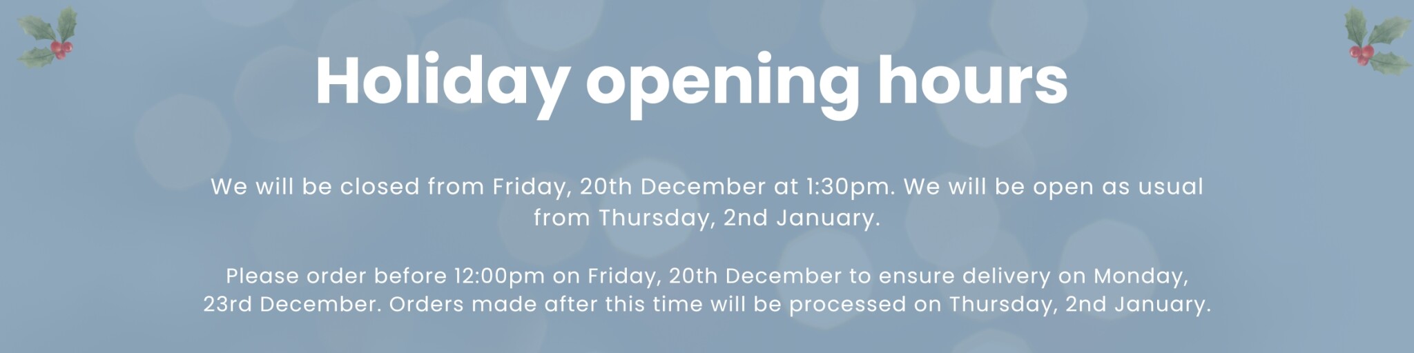 Copy of Christmas Opening Hours (1200 x 290 px) (2400 x 600 px) (3).jpg